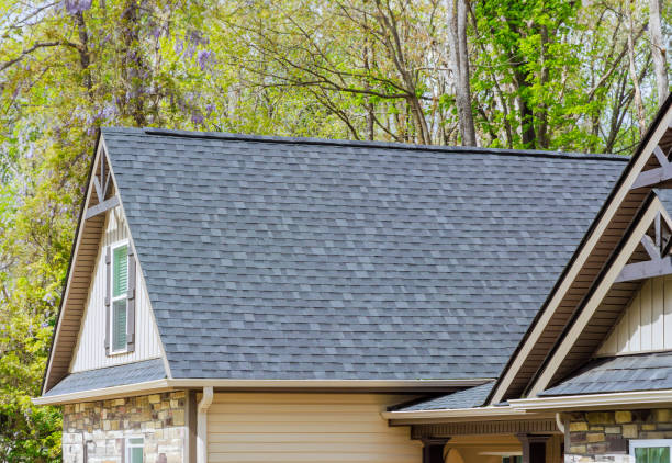 Roof Moss and Algae Removal in Otsego, MN